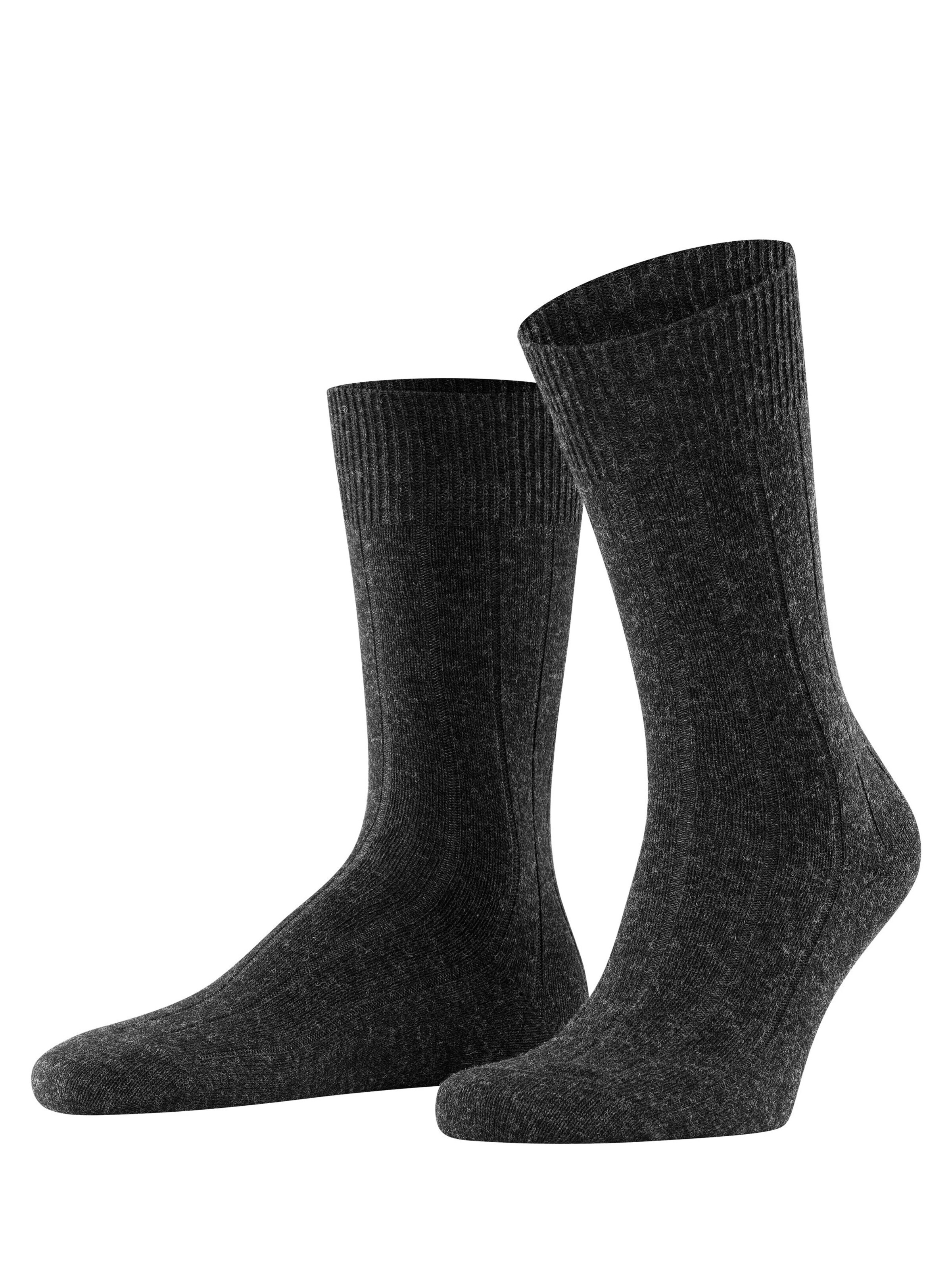 FALKE Socks 'Lhasa Rib' in Grey: front