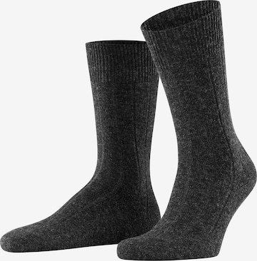 FALKE Socks 'Lhasa Rib' in Grey: front