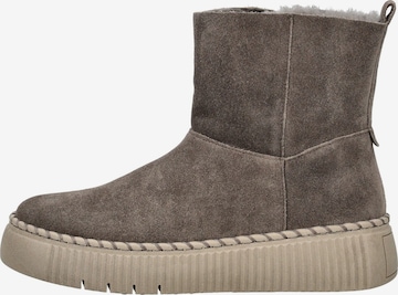 Boots di GABOR in grigio: frontale