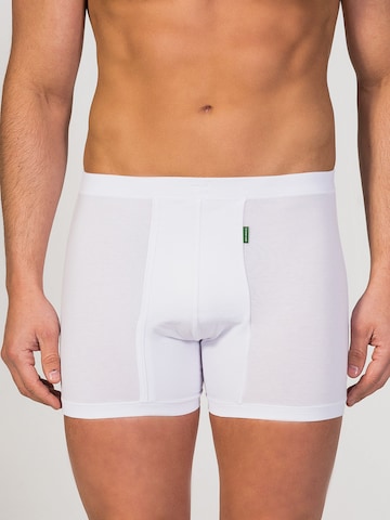 zd ZERO DEFECTS Boxershorts 'Helios fly front boxer' in Weiß: Vorderseite