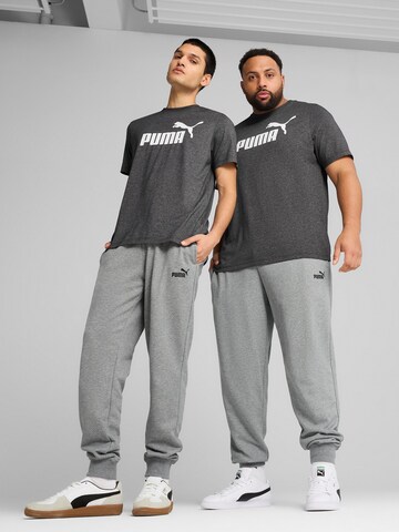PUMA Tapered Sporthose 'Ess No. 1' in Grau: Vorderseite