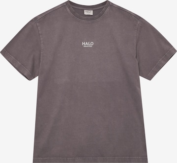 T-Shirt HALO en gris : devant