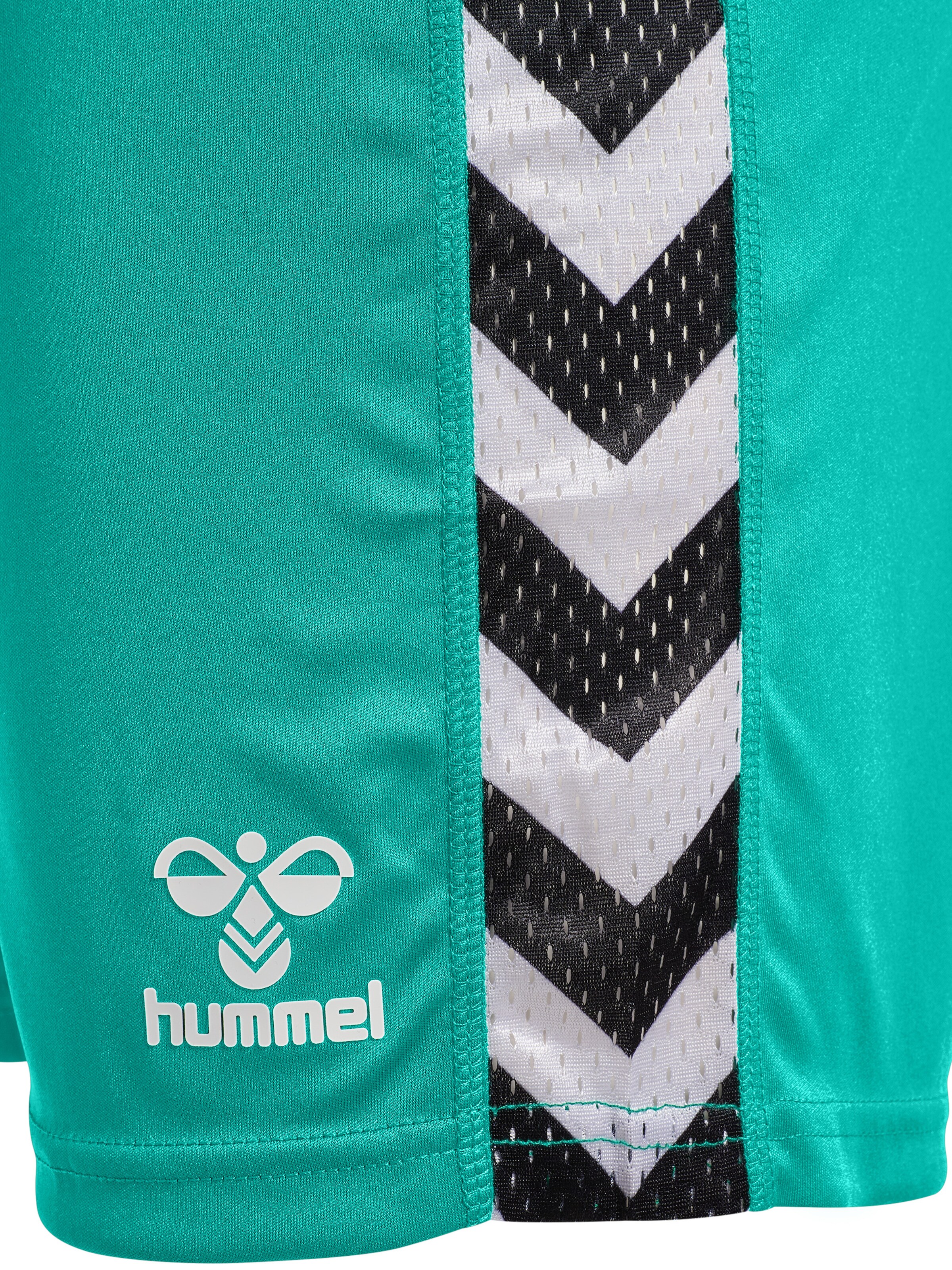 Hummel Regular Sports trousers in Blue