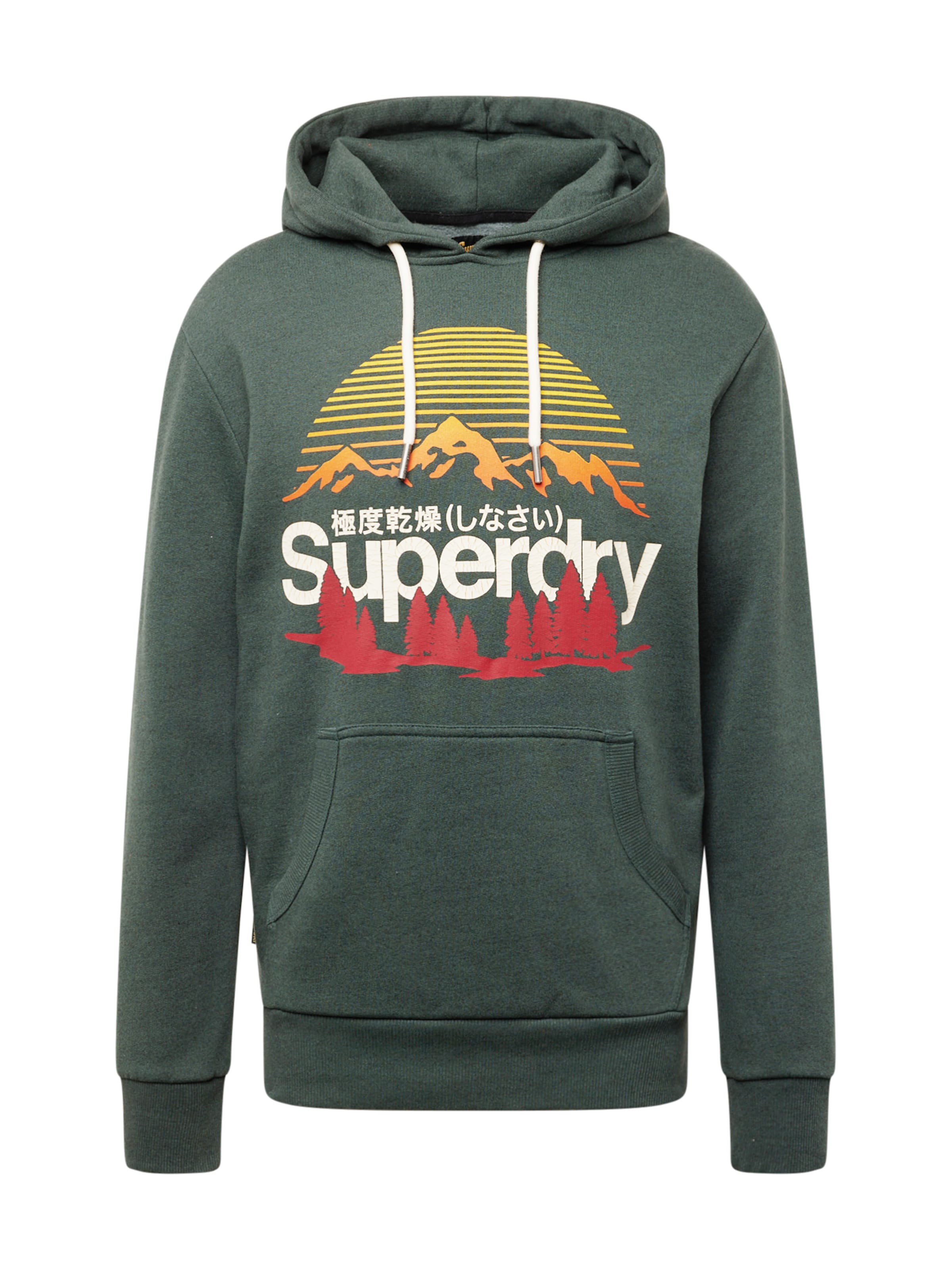 Felpa 'Great' di Superdry & Co in verde: frontale