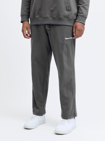 Regular Pantalon JACK & JONES en gris : devant