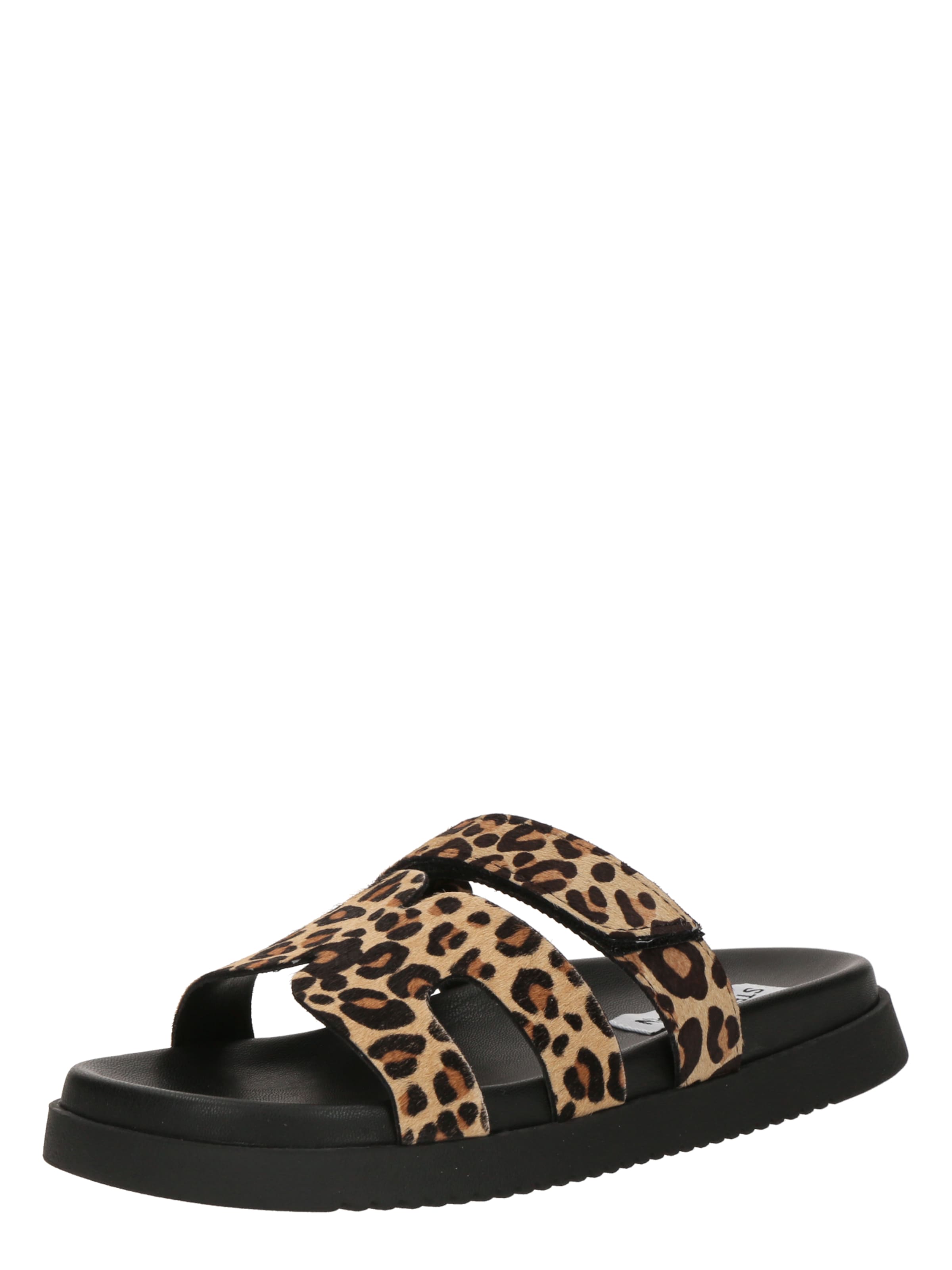 STEVE MADDEN Mules 'Missile' in Brown: front