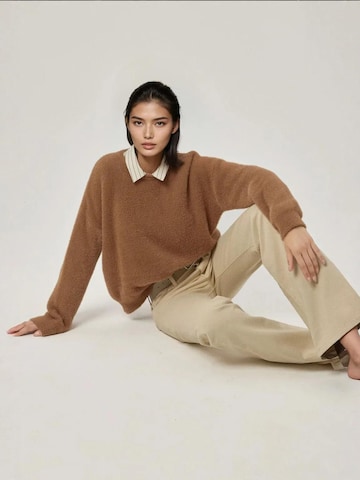 Pull-over 'Pullover' Hiccup en beige