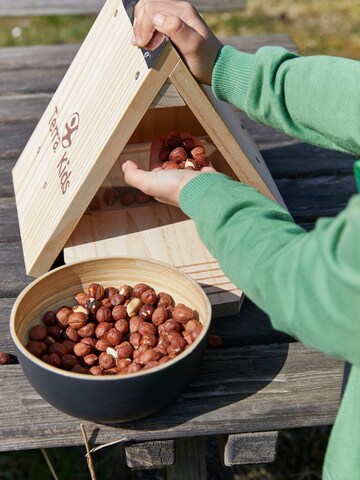 HABA Outdoor-Spielzeug ' Terra Kids Eichhörnchen Knabberhaus-Bausatz ' in Mischfarben