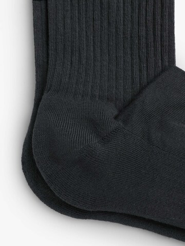 Scalpers Socks 'Graf' in Grey