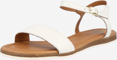 Sandalo 'Lara' Apple of Eden di colore offwhite, Visualizzazione prodotti
