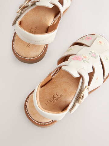 Next Sandal in Beige
