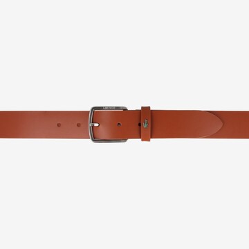 Ceinture LACOSTE en marron