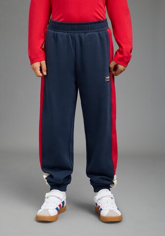 SCOUT Tapered Pants in Blue: front