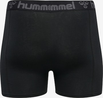 Hummel Boksershorts 'Marston' i blå