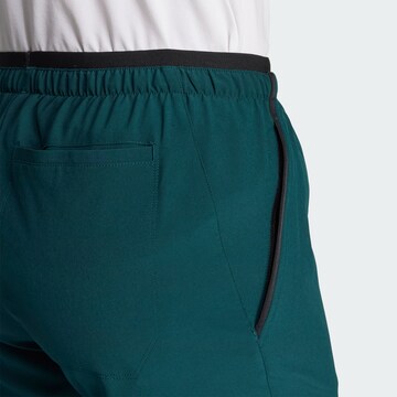 ADIDAS TERREX Regular Sports trousers 'Liteflex' in Green
