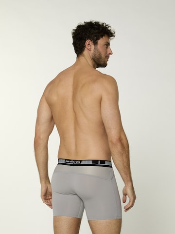 Nur Die Boxershorts ' Long Boxer Cotton Active ' in Grijs