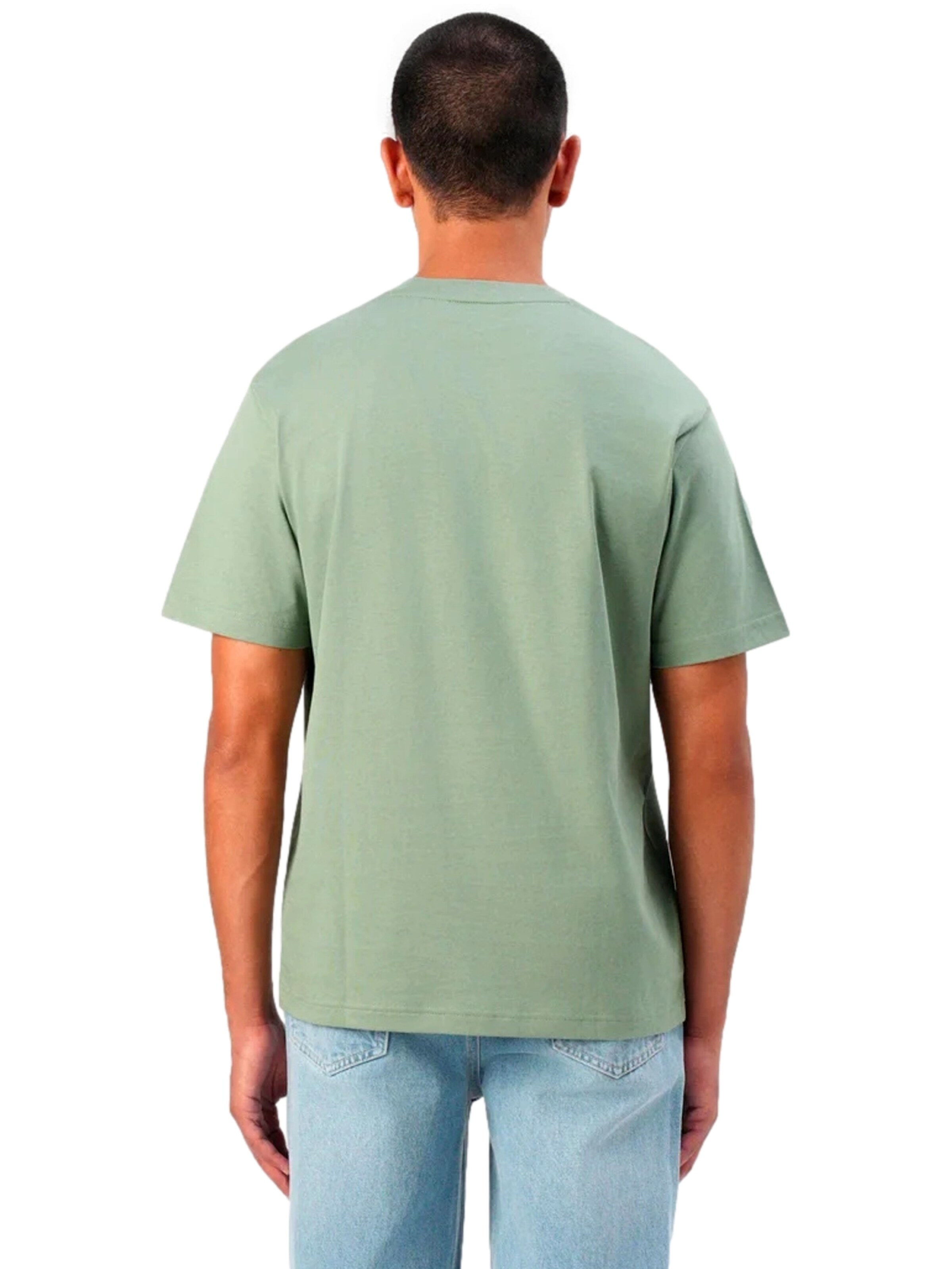 LACOSTE Shirt in Green