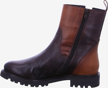 bugatti Ankle Boots in Brown