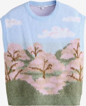 Next Pullover in Mischfarben: Vorderseite