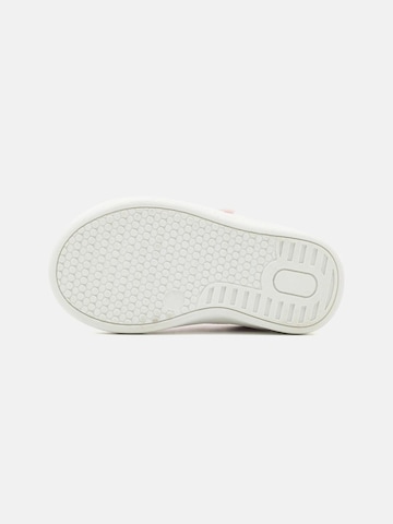 TOMMY HILFIGER Sneaker 'Candy' in Pink
