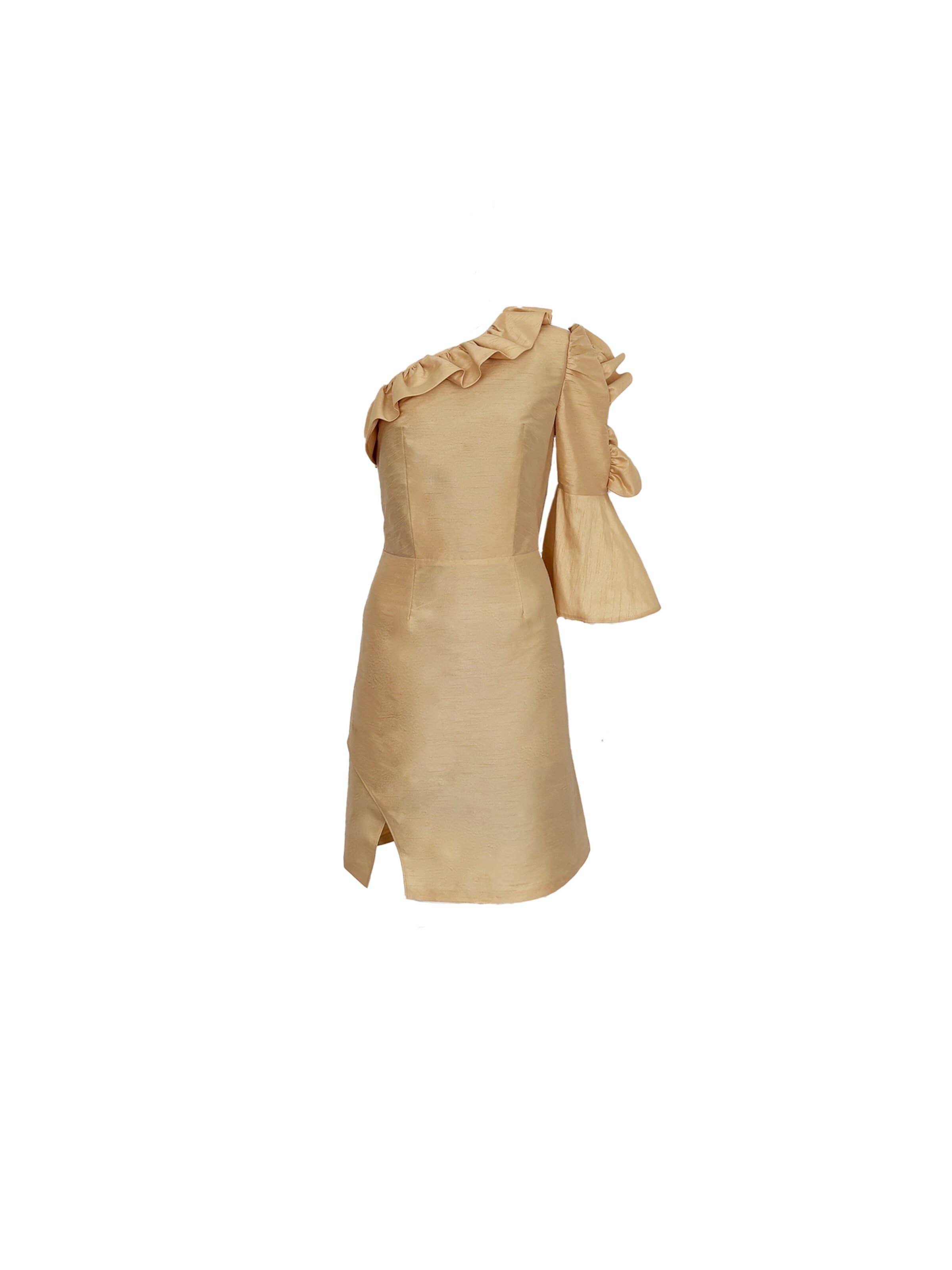 MARYLAND Studio Dress 'iconic everywhere' in Beige: front