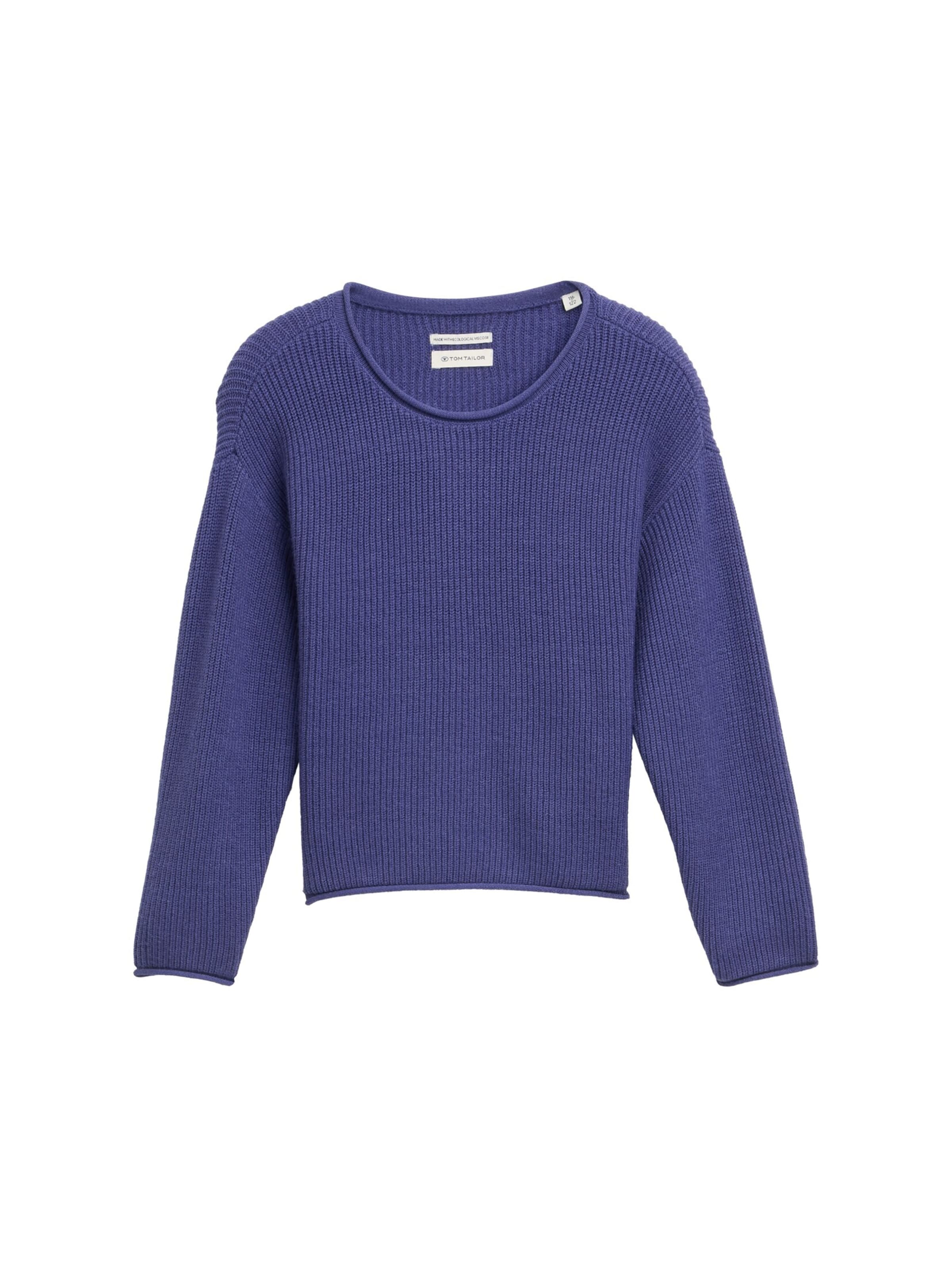 TOM TAILOR Sweater in Blue: front