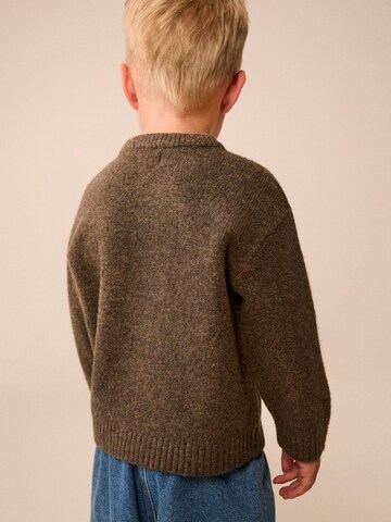 Next Trui in Bruin