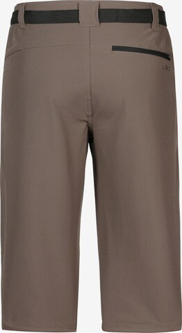CMP Regular Outdoor Pants in Brown