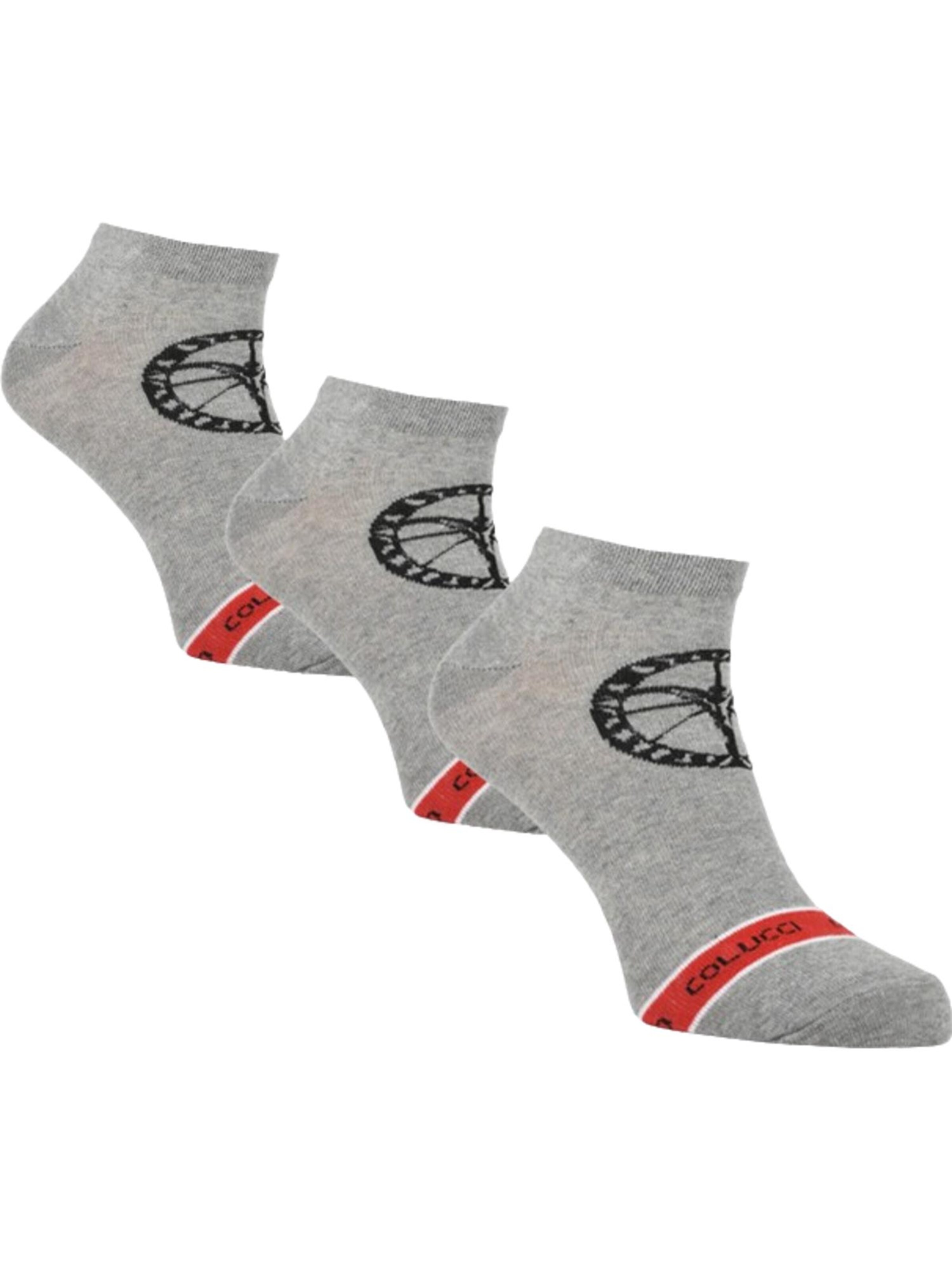 Carlo Colucci Socken 'Centaro' in Grau: Vorderseite