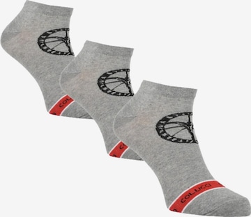 Carlo Colucci Socks 'Centaro' in Grey: front