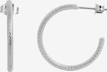 Akzent Earrings 'Danita, langlebig' in Silver: front