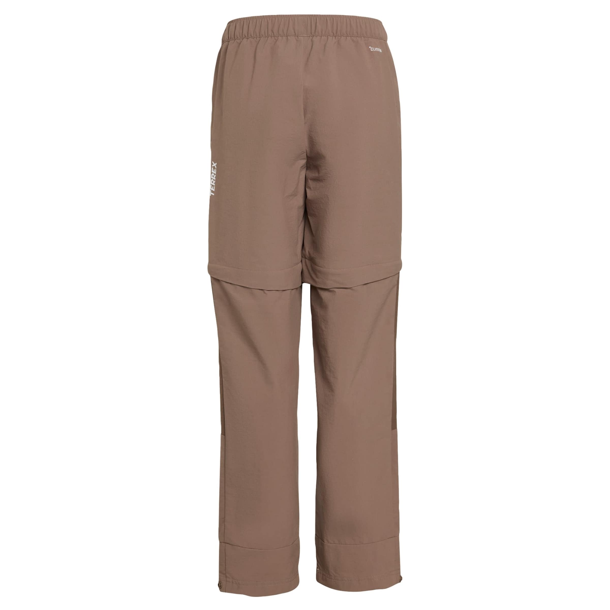 ADIDAS TERREX - regular Pantalón de montaña 'CLIMA365' en marrón