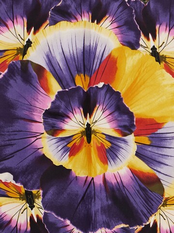 Desigual Scarf 'M. Christian Lacroix' in Mixed colors