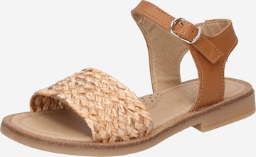 CLARYS Sandals in Brown: front