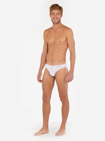 HOM Panty in White