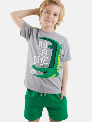 Denokids Tracksuit 'Croco' in Grey: front