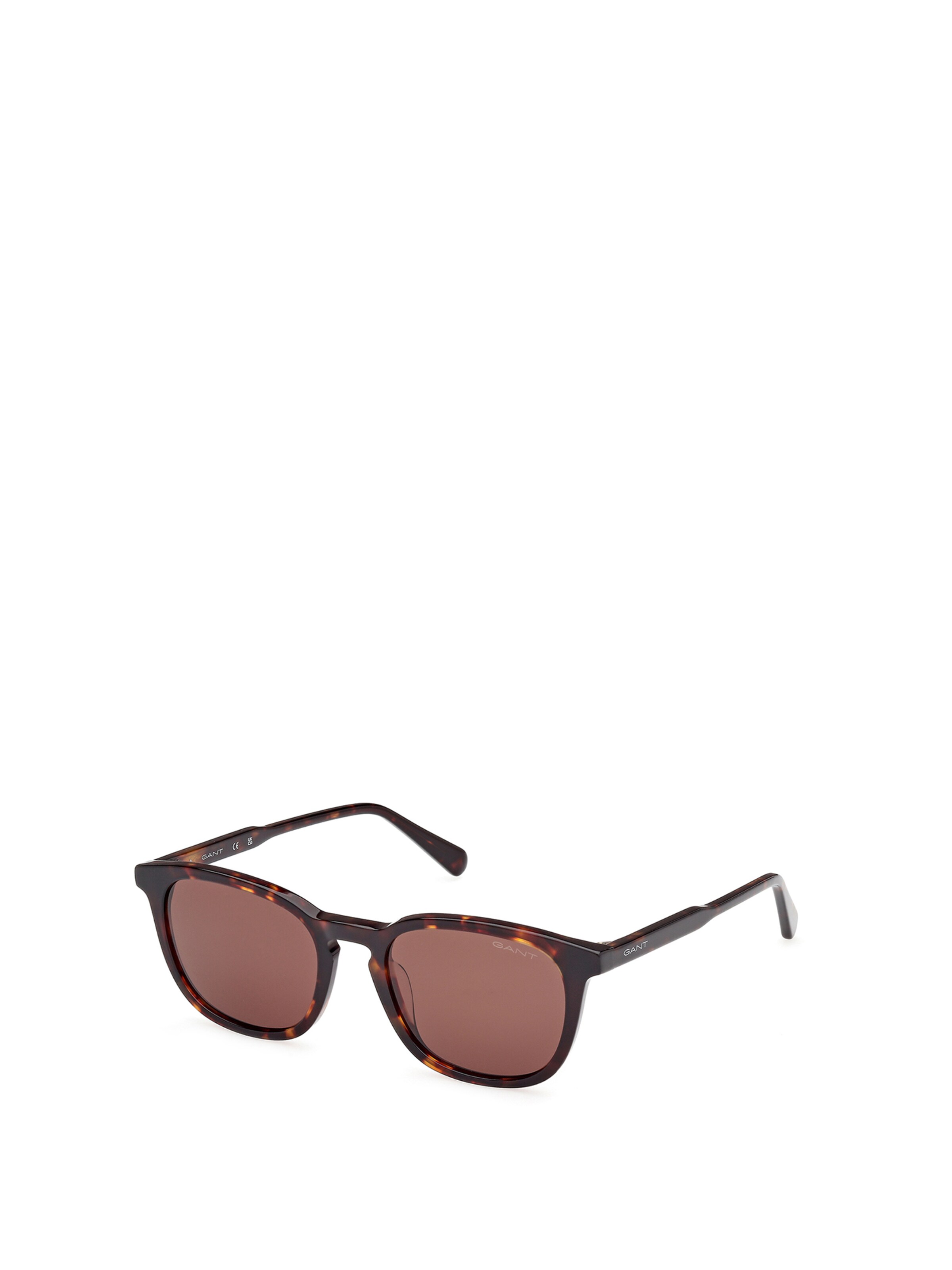 GANT Sunglasses in Brown: front