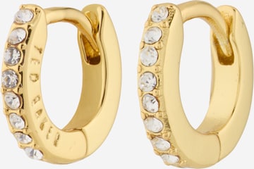 Ted BakerNaušnice 'HETTIE' - zlatna boja: prednji dio