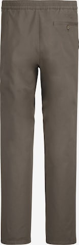 BABISTA Regular Hose 'Pariella' in Braun: Vorderseite