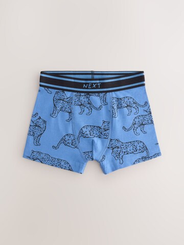 Next Onderbroek in Gemengde kleuren