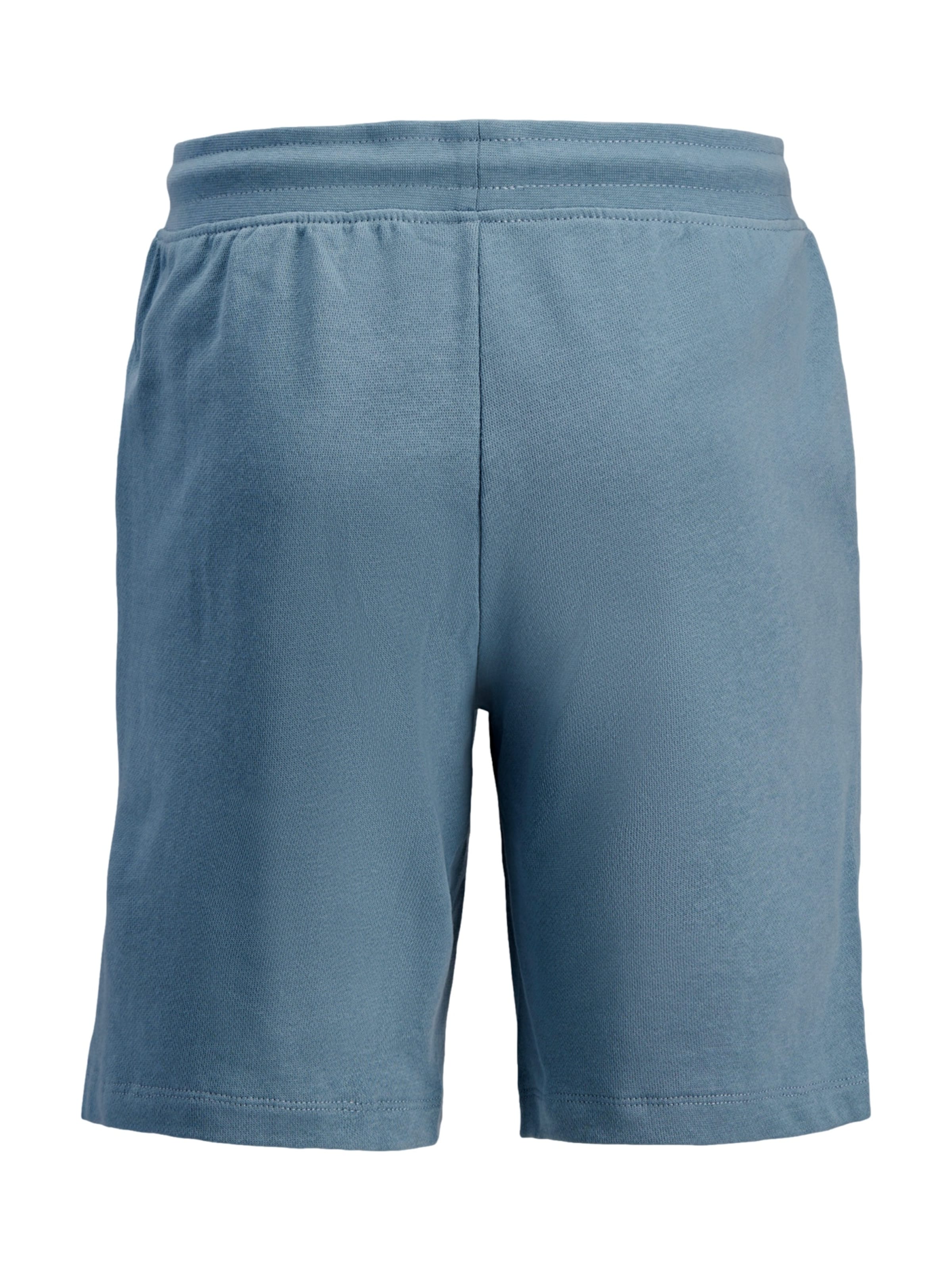 regular Pantaloni 'Gordon Archive' di Jack & Jones Junior in blu
