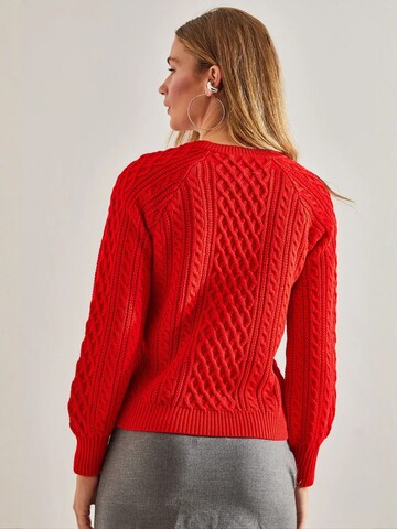 Bianco LucciPulover 'Pullover' - crvena boja
