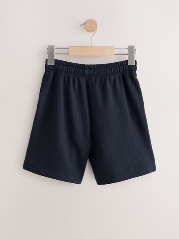 Next Regular Broek in Blauw