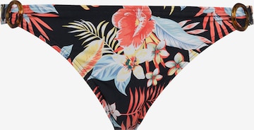 Pantaloncini per bikini di s.Oliver in colori misti: frontale