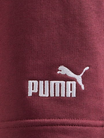 PUMA Обычный Спортивные штаны 'ESS No. 1' в Красный