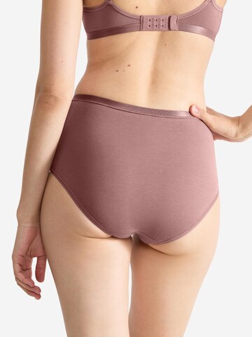 SLOGGI Slip 'GO Daily Cotton'‌‌‌‌‌‌‌‌‌‌ in Braun