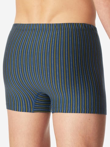 SCHIESSER Boxer shorts '95/5 Essentials - Cotton' in Blue