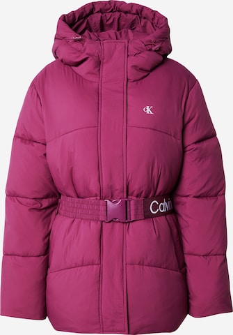 Calvin Klein Jeans Winter jacket in Purple: front