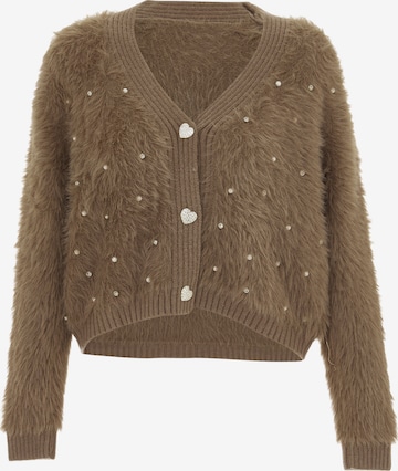 IMMY Knit Cardigan in Brown: front