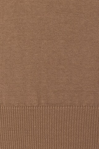 DENIM CULTURE Sweater 'DOMINIK' in Brown